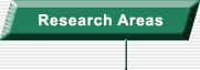 Research Areas